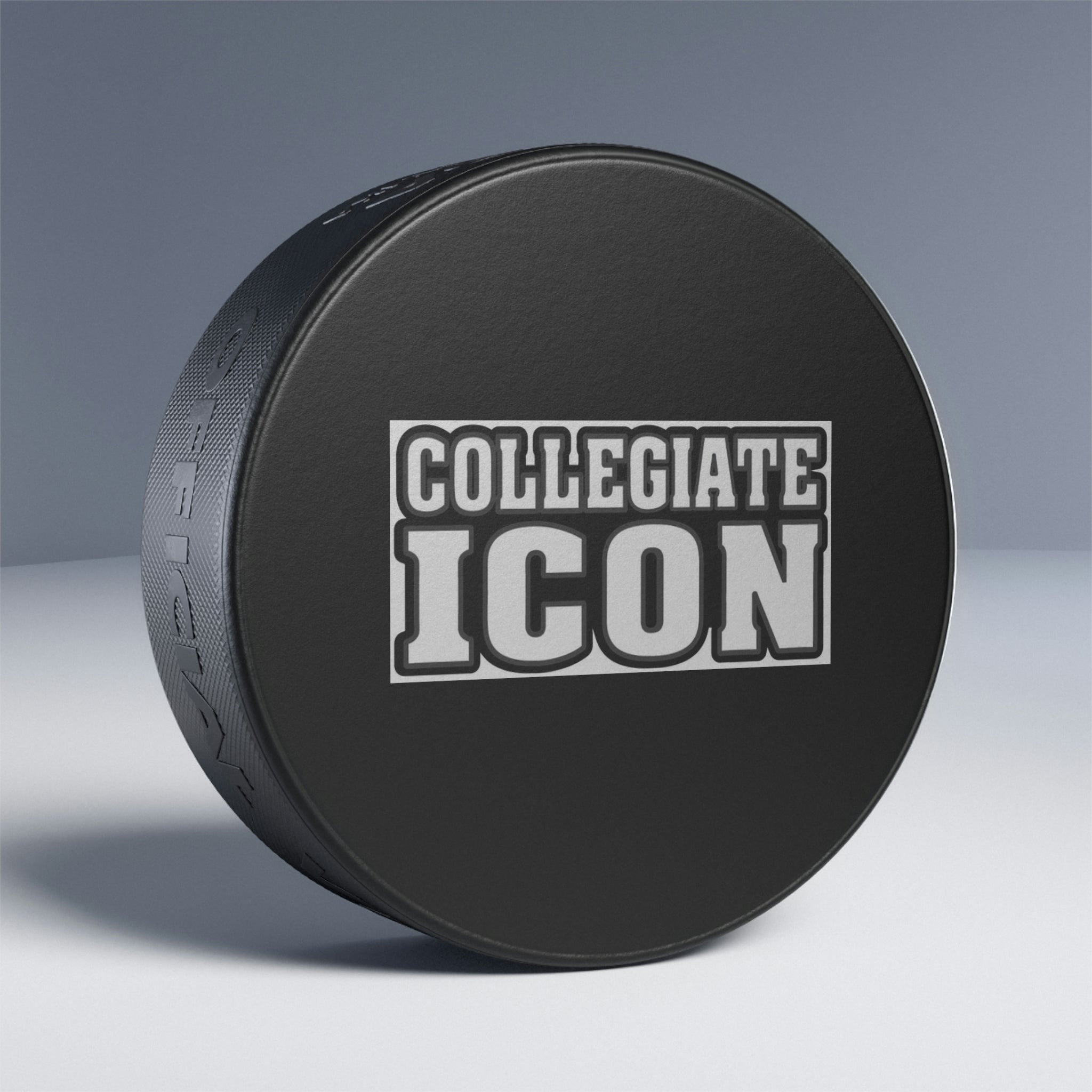 Hockey Puck
